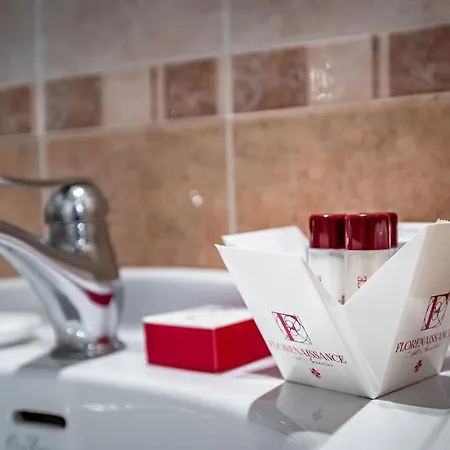 Bed & Breakfast Maison Pitti Florencie
